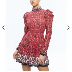 Alice and Olivia | Elvira Smocked Bodice Mini Dress 4